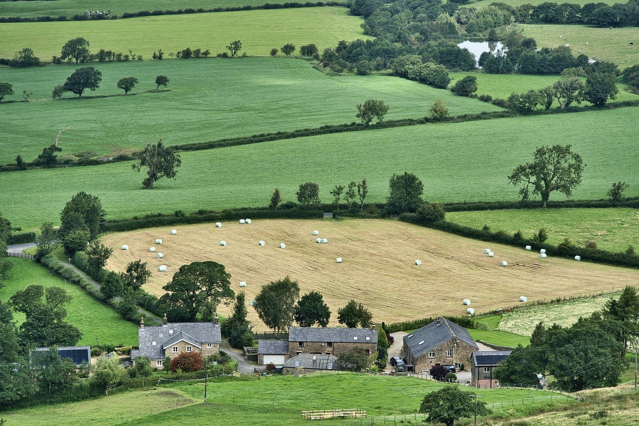 découvrez le monde fascinant des fermes urbaines, où l'agriculture rencontre la ville. explorez comment ces espaces innovants transforment les paysages urbains en oasis de verdure, tout en promouvant une alimentation durable et locale.