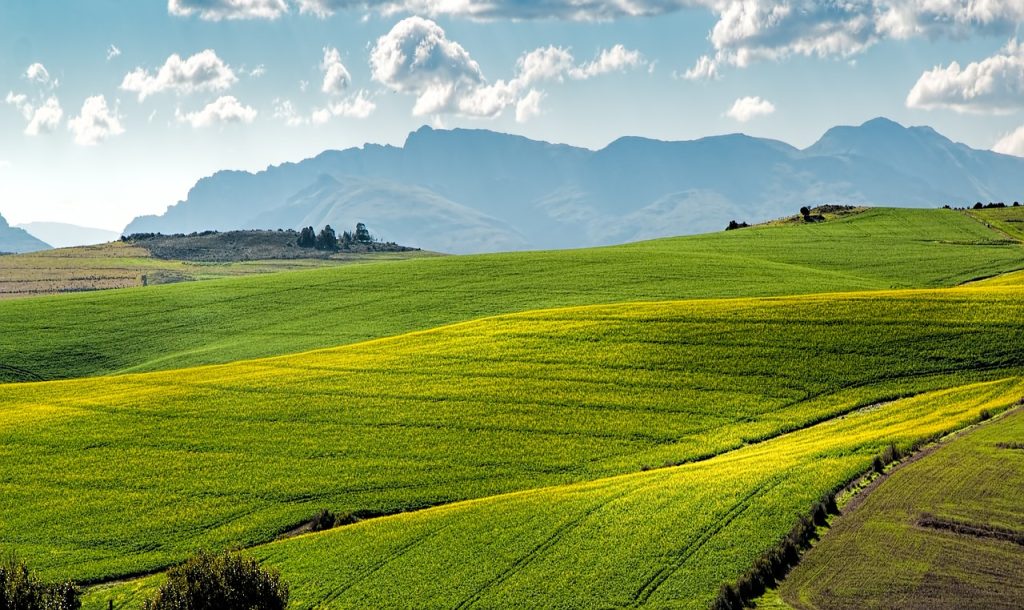 découvrez l'agriculture urbaine, une approche innovante qui transforme les villes en espaces de production durable. apprenez comment cultiver des aliments frais et locaux, favoriser la biodiversité et renforcer les communautés en intégrant la nature dans notre quotidien urbain.