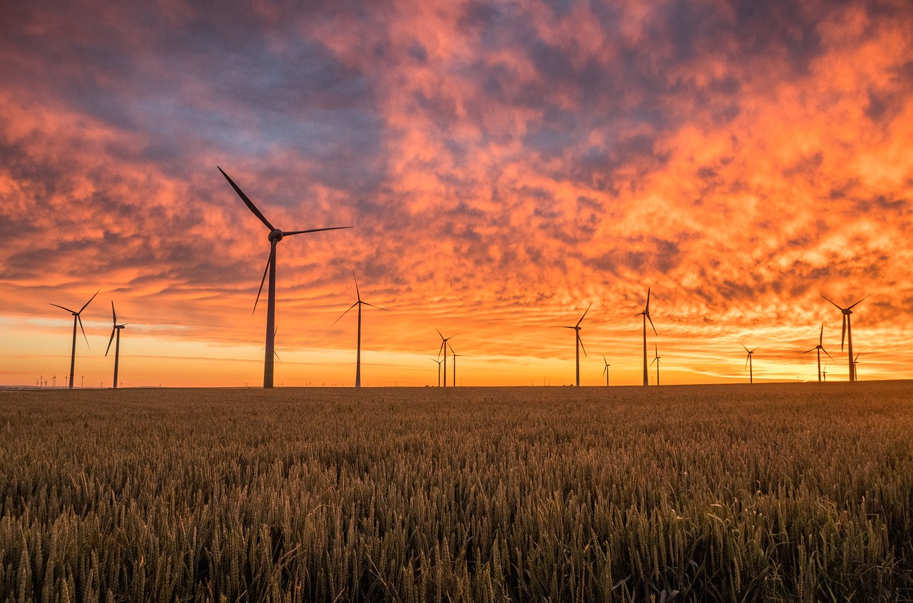 découvrez l'univers des énergies renouvelables, une solution durable pour un avenir plus vert. apprenez comment l'énergie solaire, éolienne, hydraulique et biomasse contribuent à la réduction des émissions de carbone et à la préservation de notre planète.