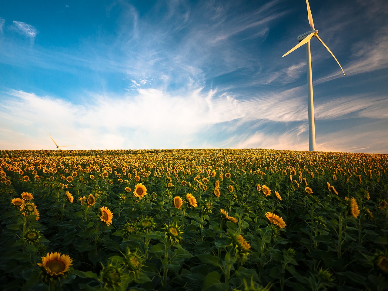 découvrez les avantages de l'énergie renouvelable, une solution durable qui préserve notre environnement tout en offrant des alternatives puissantes aux énergies fossiles. explorez les différentes sources comme le solaire, l'éolien et l'hydroélectrique pour un avenir énergétique responsable.