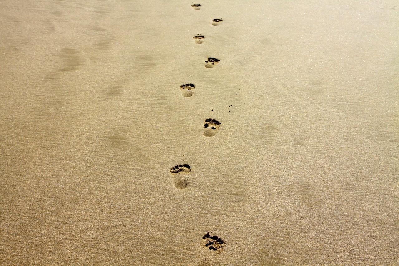 découvrez ce qu'est l'empreinte carbone, son impact sur l'environnement et les moyens de la réduire pour un avenir plus durable. informez-vous sur les actions individuelles et collectives pour diminuer votre empreinte écologique.