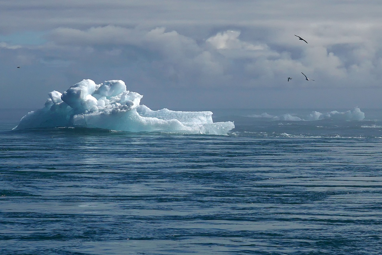 découvrez les enjeux climatiques actuels, les impacts du changement climatique sur notre planète et les solutions pour un avenir durable. informez-vous sur les initiatives écologiques et apprenez comment contribuer à la préservation de l'environnement.