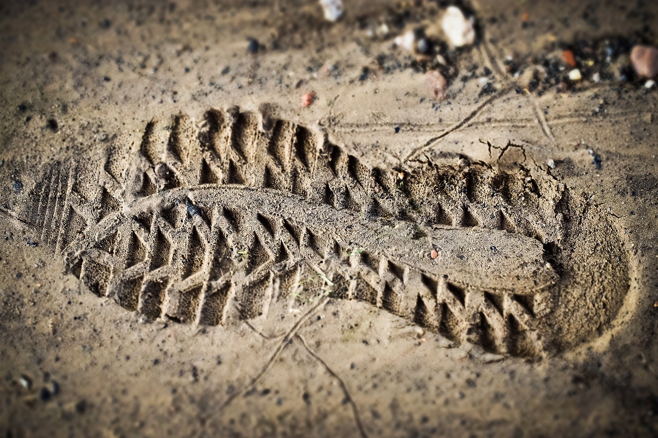 découvrez l'empreinte écologique, un indicateur essentiel de notre impact sur la planète. apprenez comment vos choix quotidiens influencent l'environnement et explorez des solutions pour réduire votre empreinte et promouvoir un mode de vie durable.