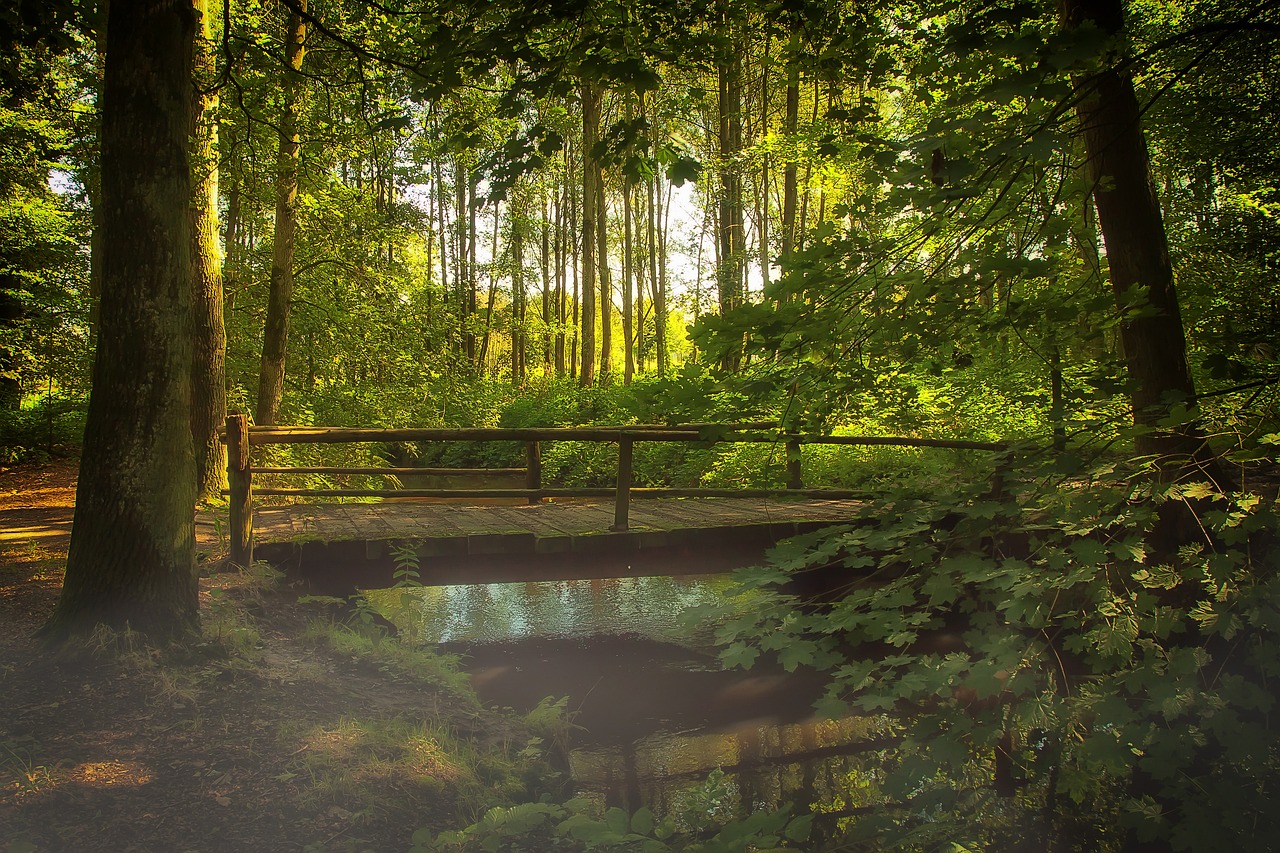 découvrez comment la transition écologique transforme nos modes de vie et nos économies pour un avenir durable. explorez les enjeux, les solutions et les initiatives en faveur d'un développement respectueux de l'environnement.