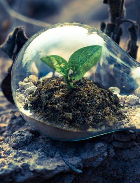 découvrez les astuces et techniques de recyclage pour réduire votre impact environnemental. apprenez comment donner une seconde vie à vos déchets et contribuer à un avenir durable tout en préservant notre planète.
