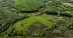À l’aube de la COP30, des nations exploitent les forêts pour masquer leur empreinte carbone