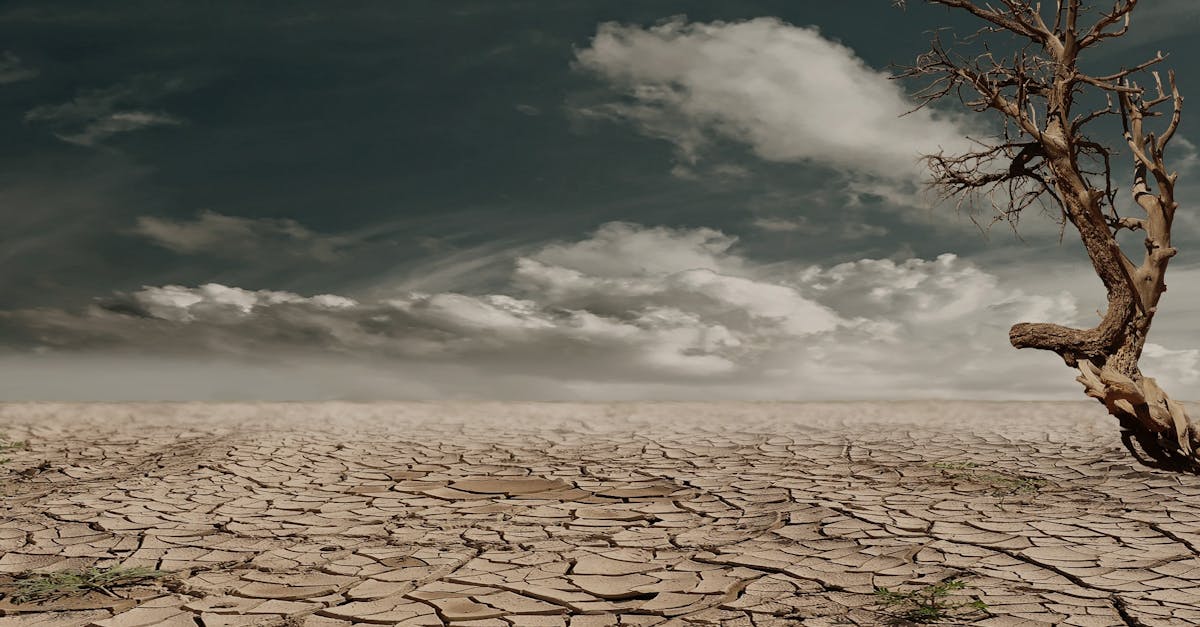 découvrez comment le changement climatique affecte notre planète et nos sociétés. explorez les causes, les impacts et les solutions pour lutter contre ce défi mondial urgent.